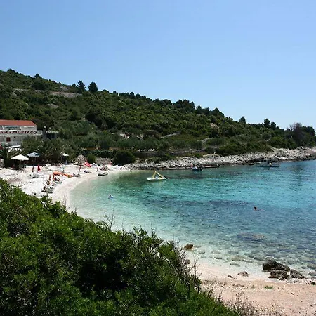 Irena Guest house